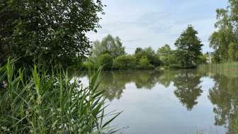 Büselweiher