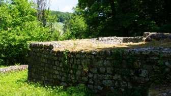 ruine-boebikon3