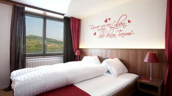 Meisterschwanden_Delphin_Zimmer