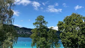 Seeufer in Strandbad Seerose in Meisterschwanden