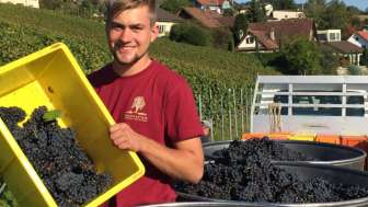 baumgartner-weinbau-ag-michel
