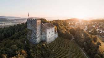 Event guidle Schloessertag Schloss Habsburg