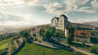 Schloss Wildegg