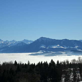Winterliche Aussicht vom Horben im Aargau auf verschneite Berge, ein weites Nebelmeer und die Schweizer Alpen unter blauem Himmel.