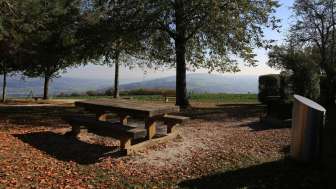 Reinach AG, Hombergturm