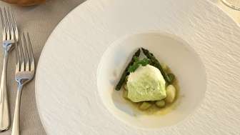 Jurassic Cuisine Event 07