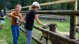 tierpark_bad-zurzach_fuettern