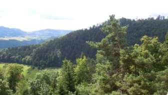 Aussicht Ruine Alt-Thierstein