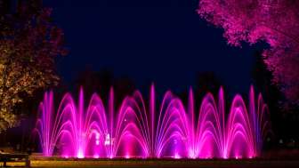 wassersinfonie-pink