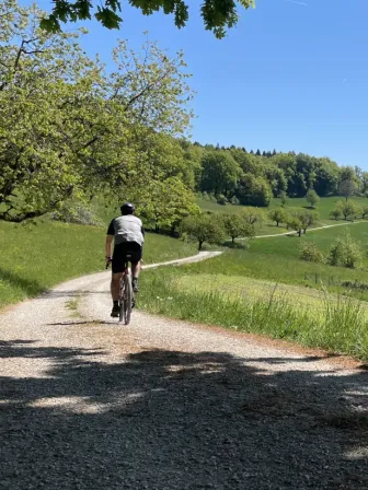 Landschaft mit Hügel und Bäumen. Mann auf Fahrrad mit Rücken zu Kamera.