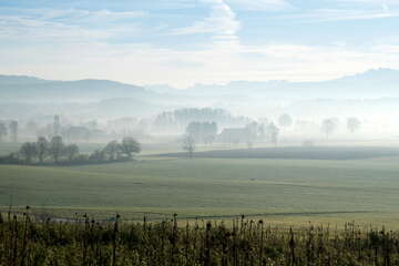 Weite grüne Wiesen, vereinzelte Bäume und Bauernhäuser im Morgennebel mit Blick auf die Schweizer Alpen.