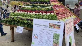 Gemüse  und Obstpyramide
