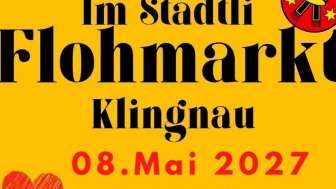 FlyerS1