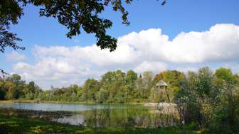 aue-chly-rhy-teich-mit-aussichtsturm