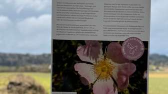 Gnadenthaler Biodiversitätslehrpfad