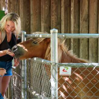 Familie beim Füttern eines Ponies im Wildpark Roggenhausen.