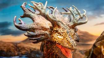 dracolorium-hauptfoto-merell