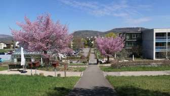 therapiegarten_zurzachcare_carestudy