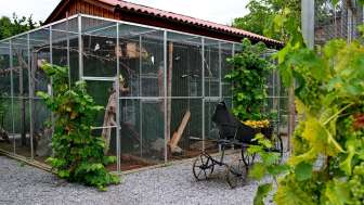 PapageienWelt Vogelpark Ambigua