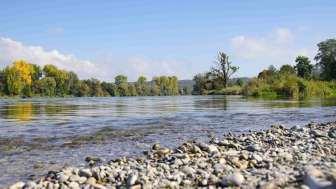 Aue Chly Rhy-Ufer mit Steinen