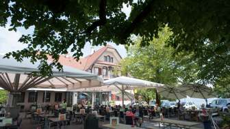 Alpwirtschaft Horben Sommer 12