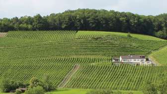 weingut-alter-berg
