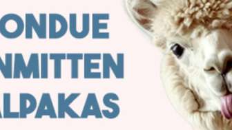 Wertgutschein Alpaka Erlebnisse Nov 24 VENTE IMG V2 DD (1)