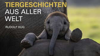 Online Werbung quer 8 1 0