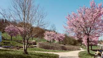 therapiegarten_zurzachcare