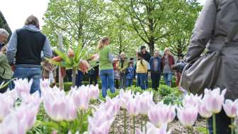 Öffentliche Führung durch den Barockgarten von Schloss Wildegg