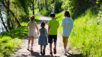 papa-moll-weg-rheinweg-4