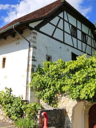 Das Aarg. Kant. Weinbaumuseum ist ein besonderes Kleinjuwel. Tauchen Sie ein in die spannende Geschichte des Aargauer Weinbaus und dessen Weinkultur. Ihr Rundgang führt Sie über 4 weinspezifisch gestaltete Etagen.