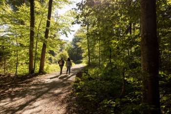 Zwei Personen auf einem Spaziergang im Wald in der Naehe vom Egelsee.