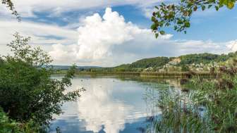 klingnauer-stausee-ufer-mit-spiegelung