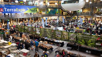 TerraExpo3