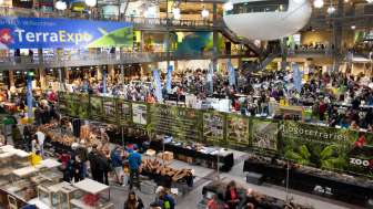 TerraExpo3