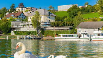 Seehotel Delphin