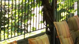 trattoria-schwert-terrasse
