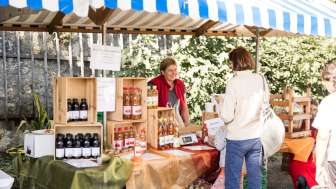 Event guidle tulpenzwiebel genussmarkt Schloss Wildegg 03