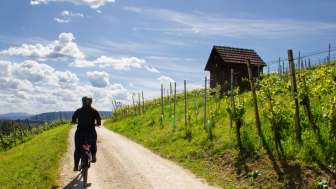 reben-hüsli-e-bike von hinten