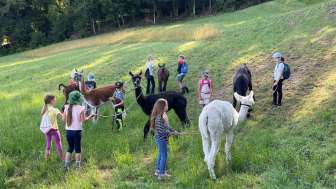 Lamatrekking mit Schulklassen