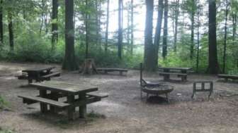 Elefantenplatz Bannwald