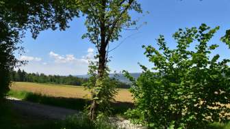 grillstelle-oberholz-aussichtspunkt-oberholz