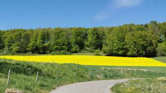 boebikon-gueggenhuehalde-strasse
