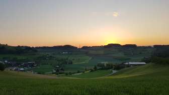 Kräuterspaziergang rund um Mandach