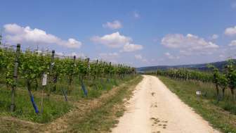 Weingut Schödler