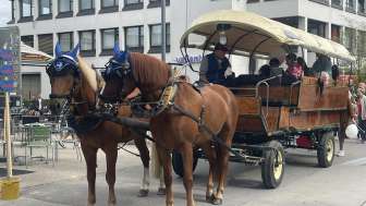 Pferdekutsche