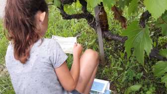 Weingut Schödler - Schnitzeljagd