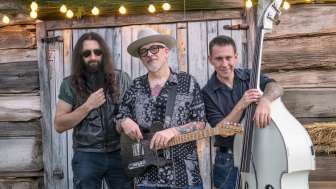 The Don Diego Trio