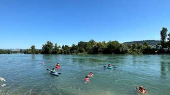 Rheinschwimmen
